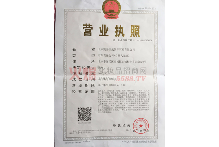 凯嘉瑞成营业执照