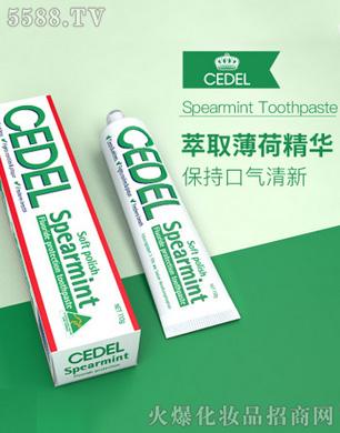 时达乐CEDEL澳洲进口清新薄荷牙膏