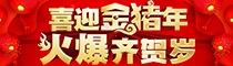 喜迎金猪年，火爆齐贺岁！