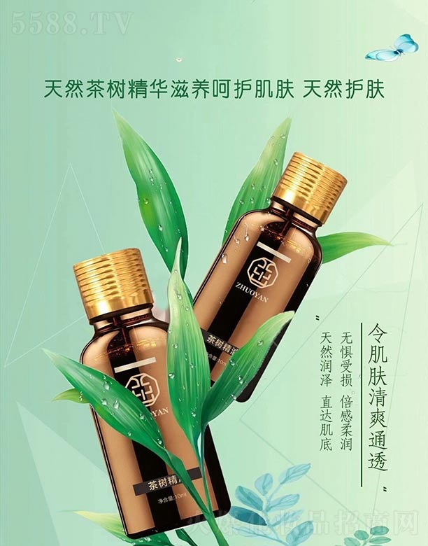 茁妍茶树精油 10ml