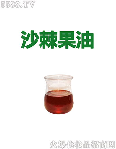 艾蒿草沙棘果油