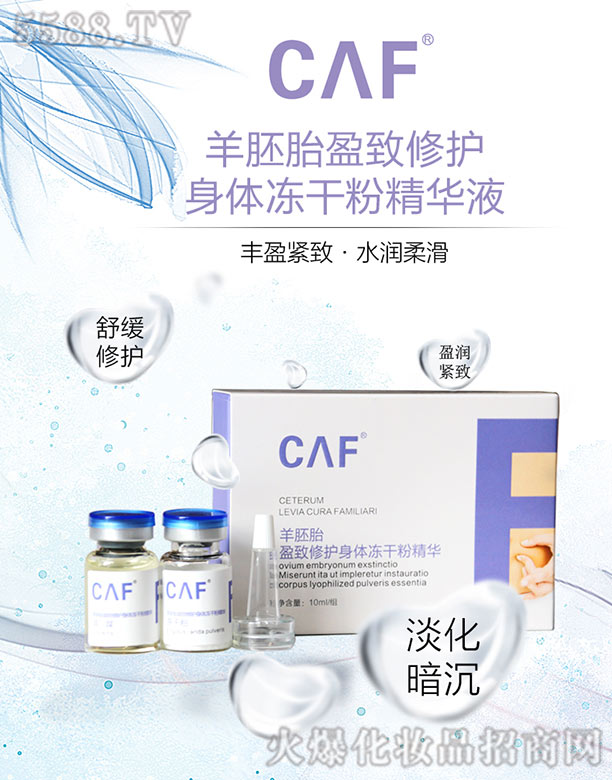 CAF羊胚胎身体冻干粉精华液