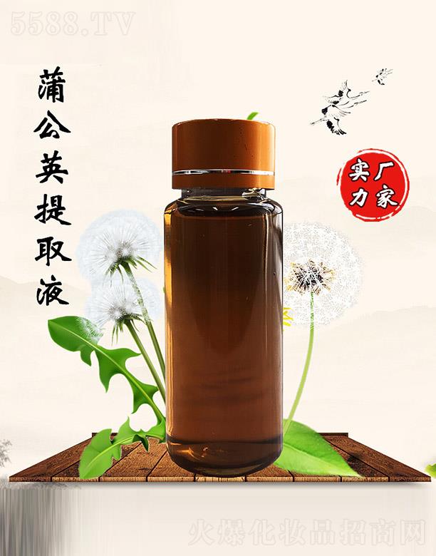 佰珍堂蒲公英提取液