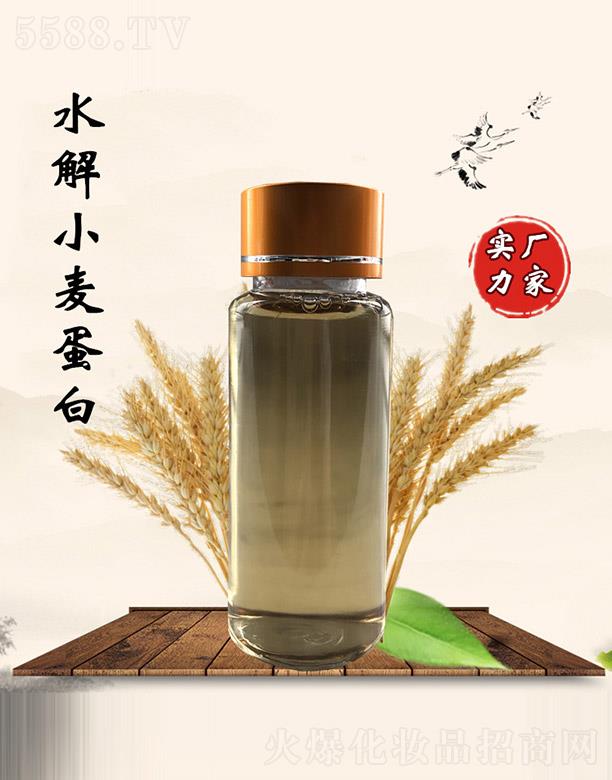 佰珍堂水解小麦蛋白