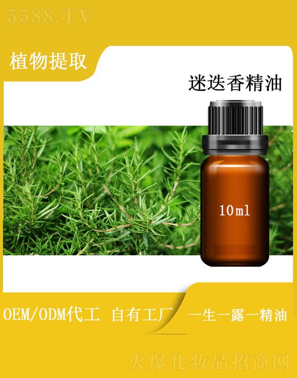 篱菊迷迭香精油 10ml