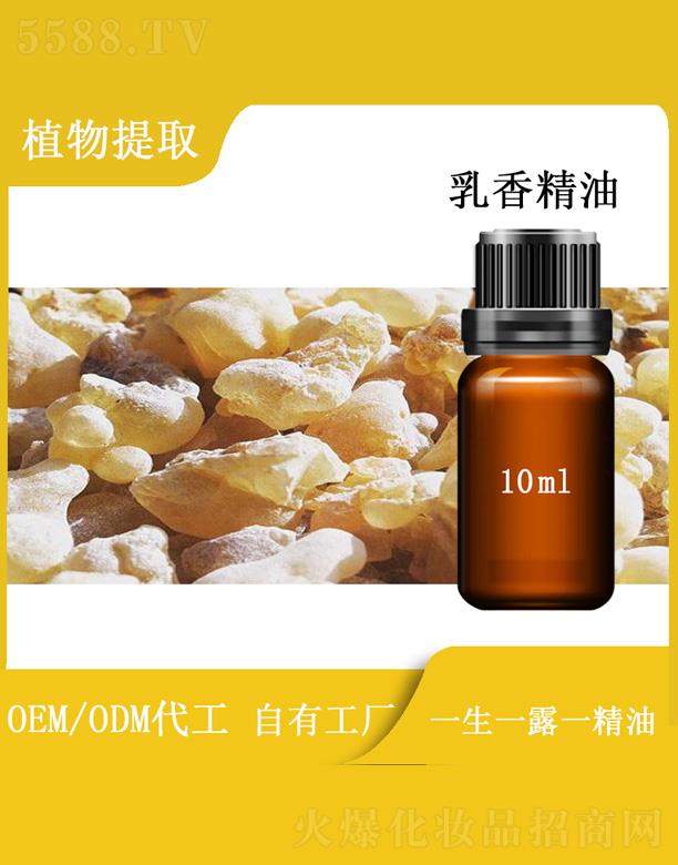 篱菊乳香精油 10ml