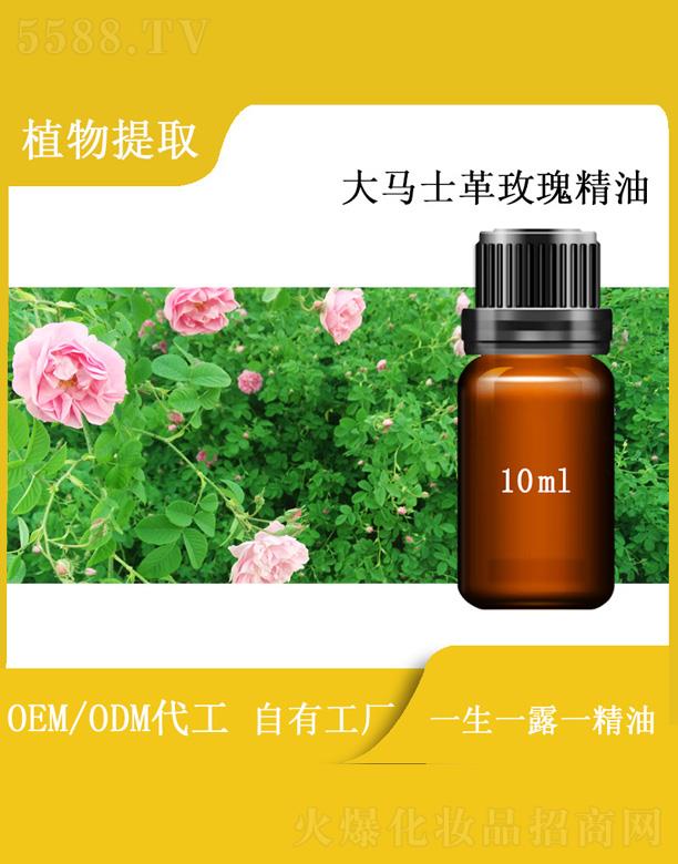 篱菊大马士革玫瑰精油 10ml