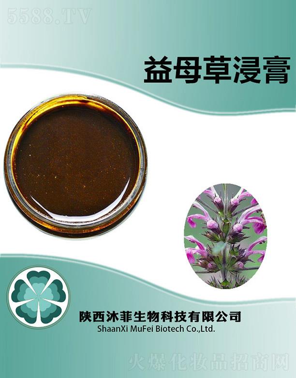 沐菲益母草浸膏