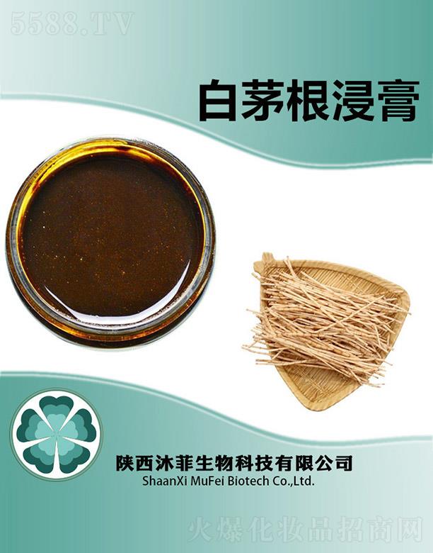 沐菲白茅根浸膏