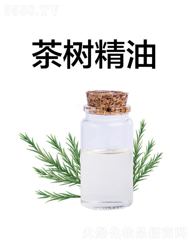 天竺茶树精油