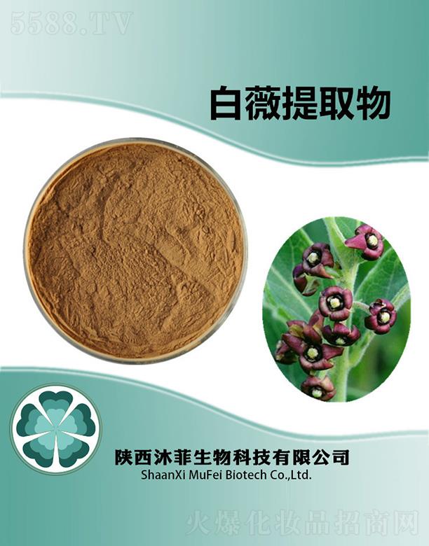 ưޱȡ