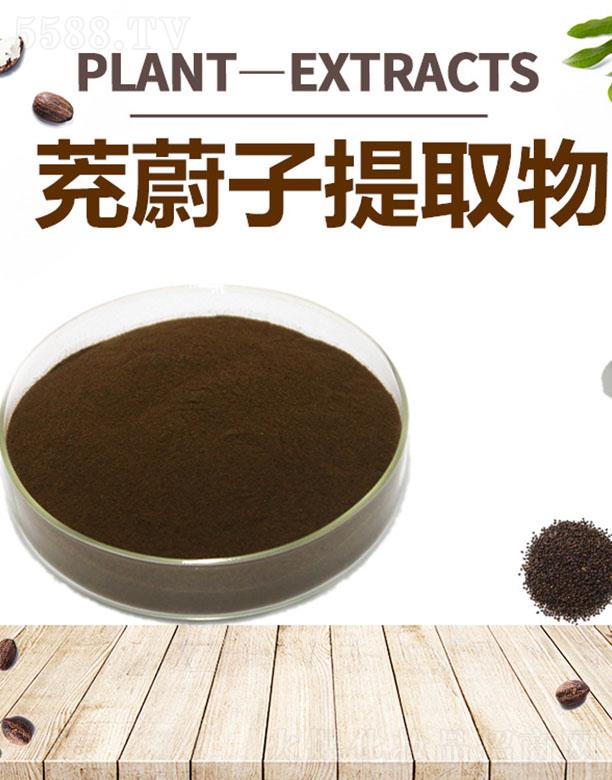 四海茺蔚子提取物