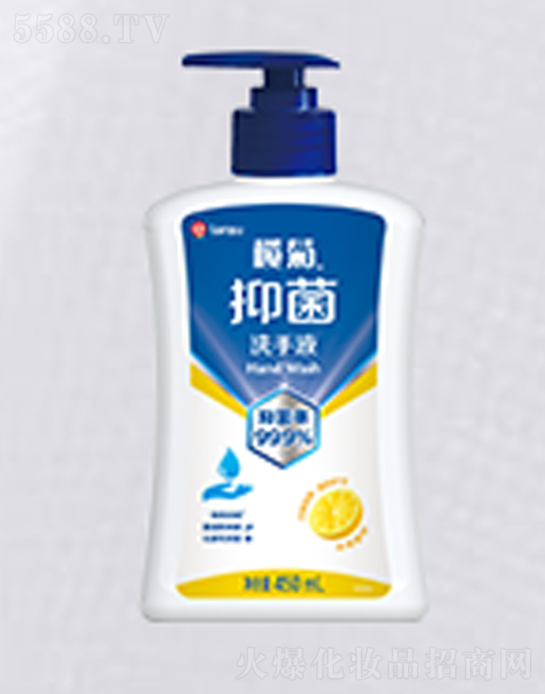 抑菌洗手液-450ml