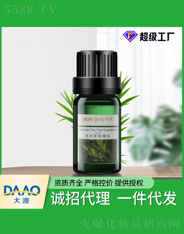 澳洲茶树精油