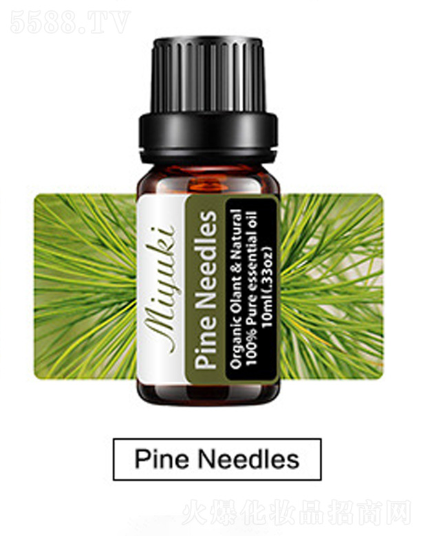 ޹Ħ-Pine Needles
