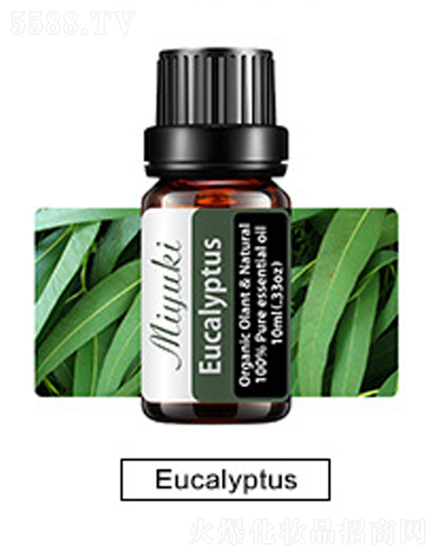 护肤香薰按摩油-Eucalyptus桉树
