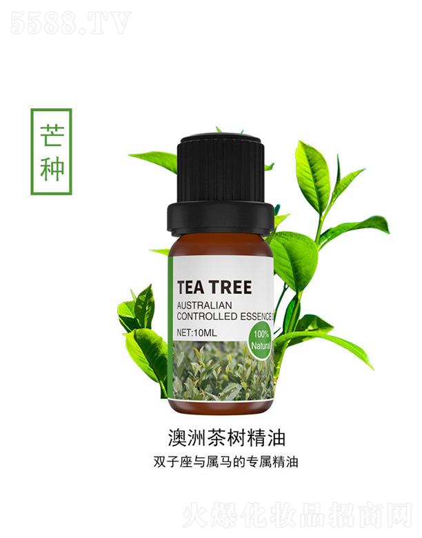 澳洲茶树精油 10ml