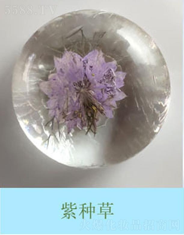 氨基酸鲜花皂紫种草