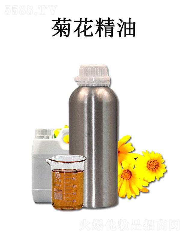 汇通菊花精油