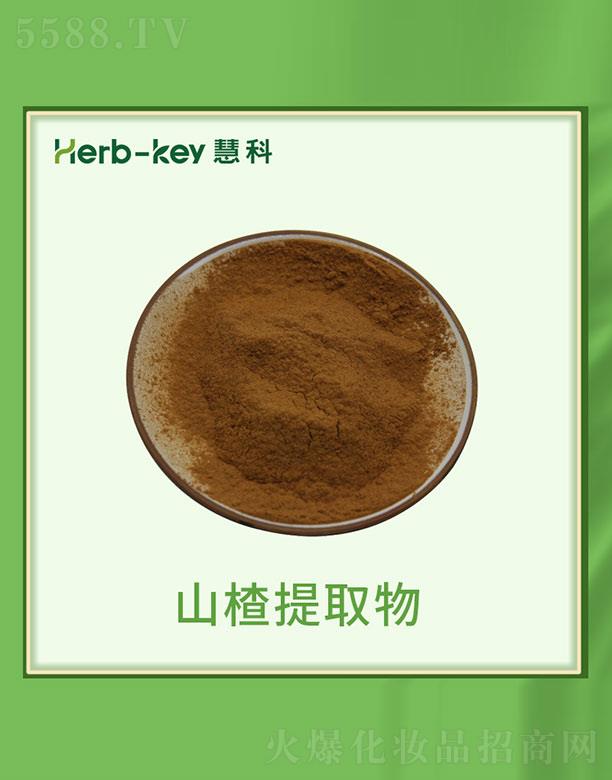 慧科山楂提取物