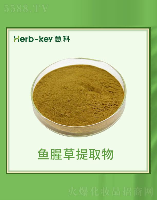 慧科鱼腥草提取物