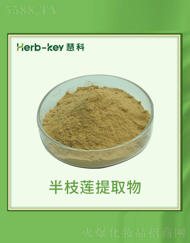 慧科半枝莲提取物