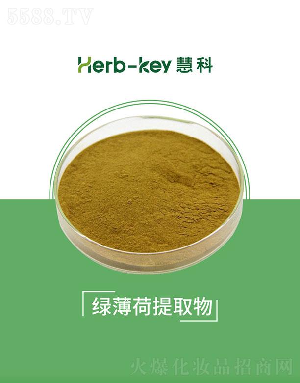慧科绿薄荷提取物