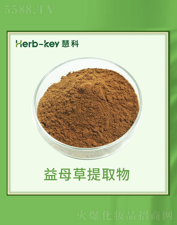 慧科益母草提取物