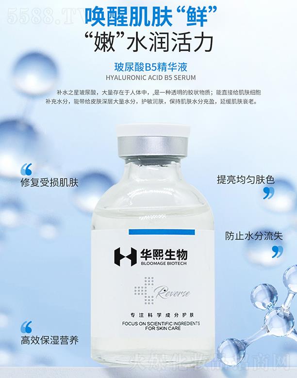 玻尿酸B5精華液