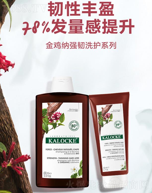 KALOCKE金鸡纳强韧洗护系列