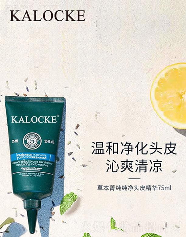 KALOCKE草本菁纯纯净头皮精华75ml