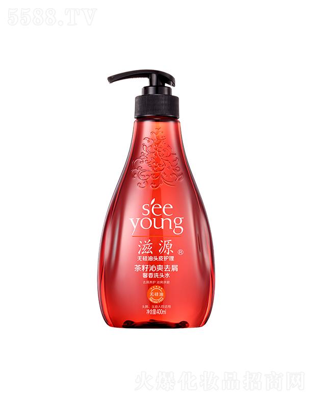 Դˬȥмܰϴͷˮ400mL