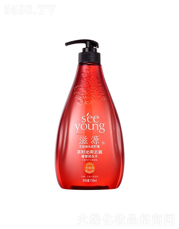 Դˬȥмܰϴͷˮ750mL