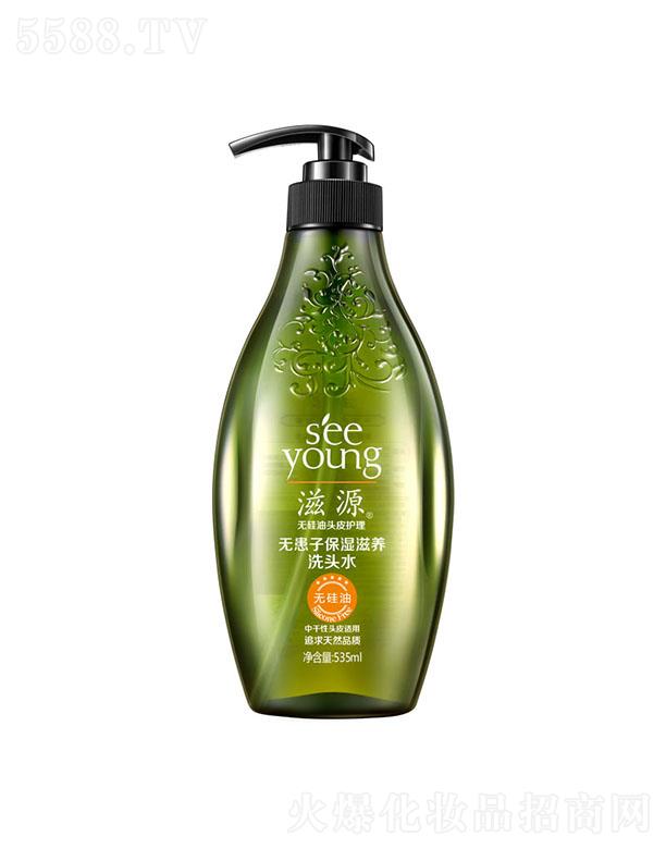 Դ޻ӱʪϴͷˮ535ml