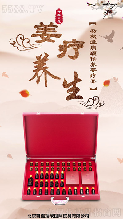 雅智美肩颈保养姜疗套 雅智美肩颈保养姜疗套