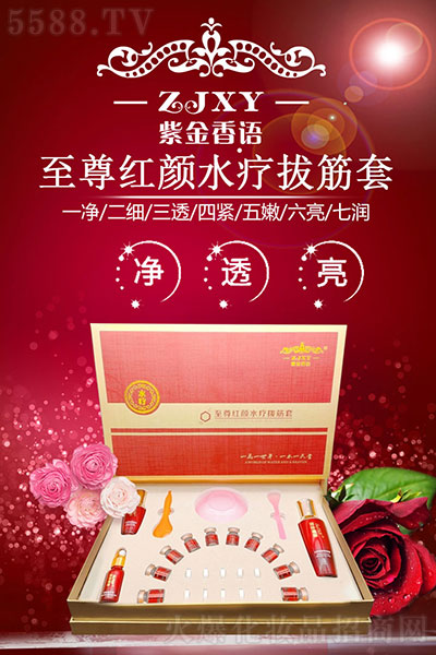 香港博美 香港博美