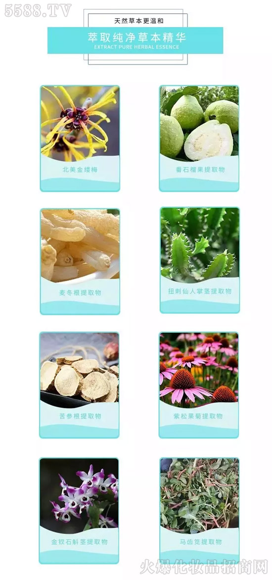 欧博尔植物萃取祛痘套盒 欧博尔植物萃取祛痘套盒