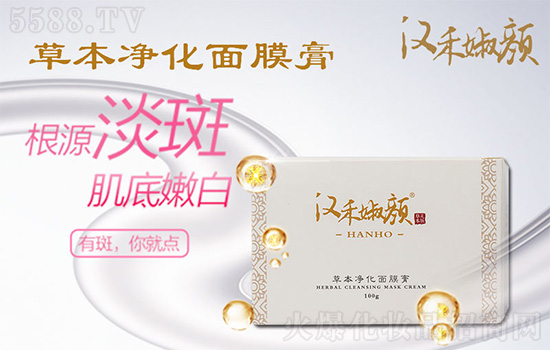 汉禾婌颜草本净化面膜膏 汉禾婌颜草本净化面膜膏