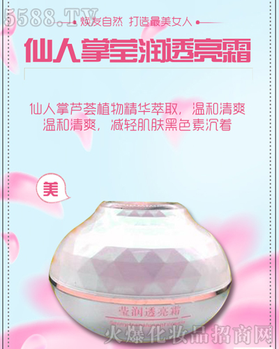 莹润不腻光泽肌-仙人掌莹润透亮霜 莹润不腻光泽肌-仙人掌莹润透亮霜