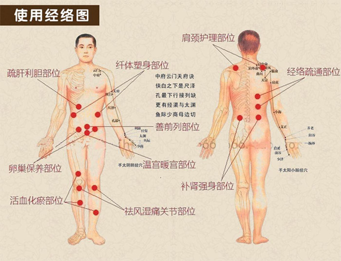 草本泥灸