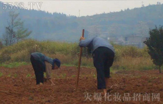 贫苦的童年 贫苦的童年