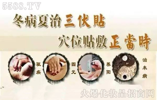 三伏贴 三伏贴