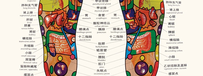 佳养诗颜中药熏蒸包足浴包瑶浴包