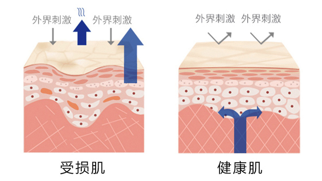 鸥瑞珂多肽屏障植萃修护乳