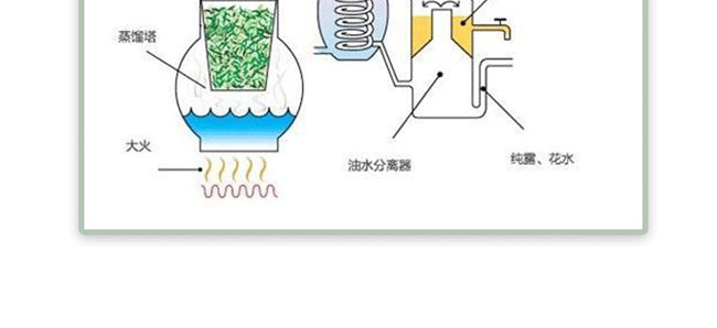 蜜蜂堂薄荷精油