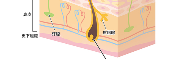 佐漫茜植萃祛痘精华液