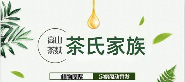 茶氏家族茶麸淘米水原浆