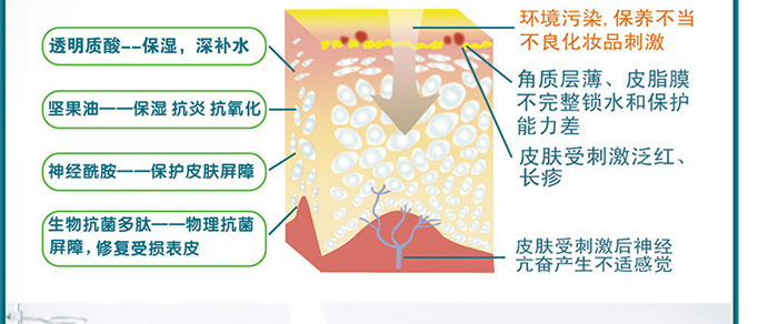 北博医生肤乐修复霜