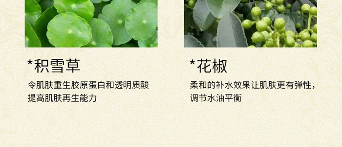 苗悦堂草本植萃祛痘组合