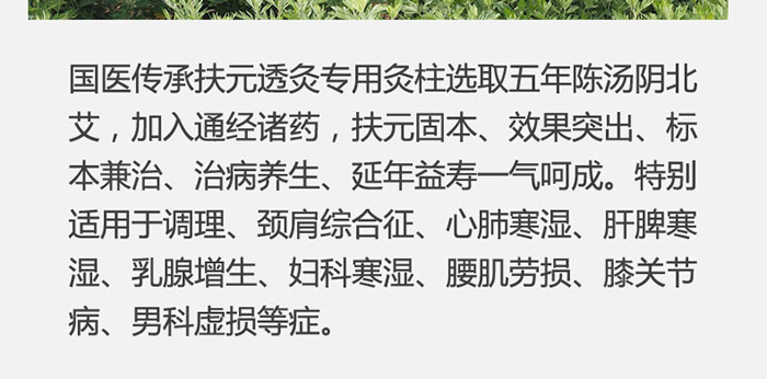 扶元透灸 扶元透灸